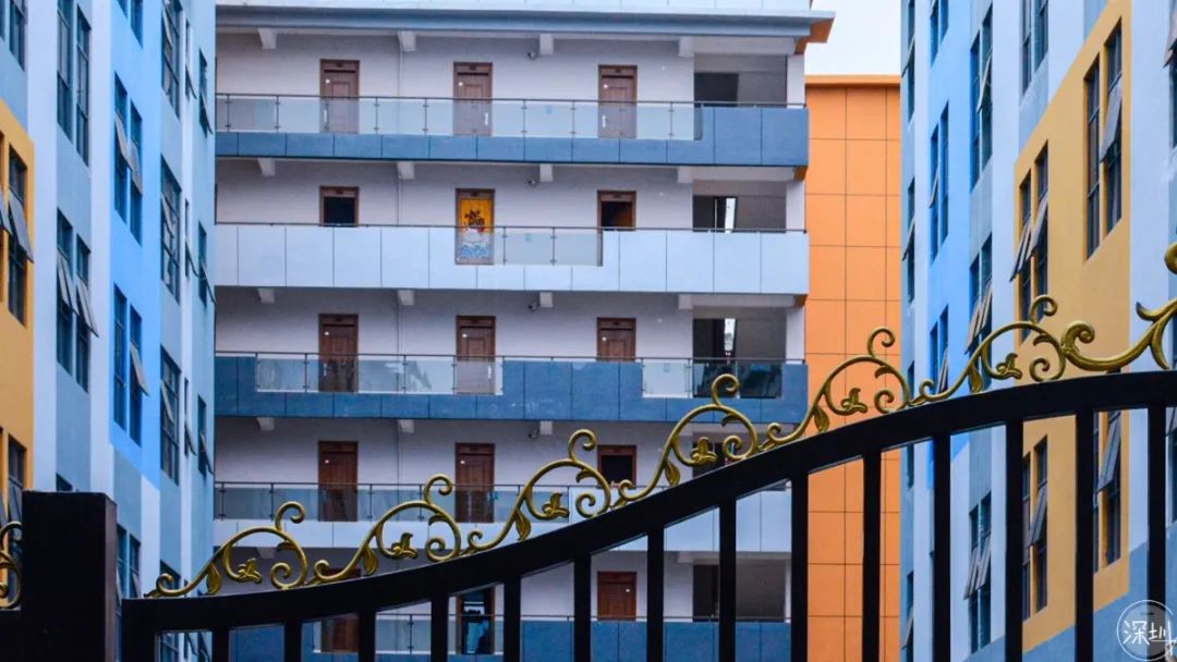 固戍怎么样,固戍为什么这么强