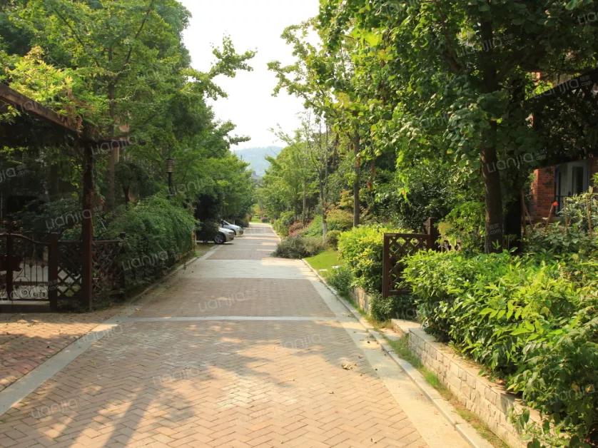 南京总价低于50万房子,南京低于市场价的房子