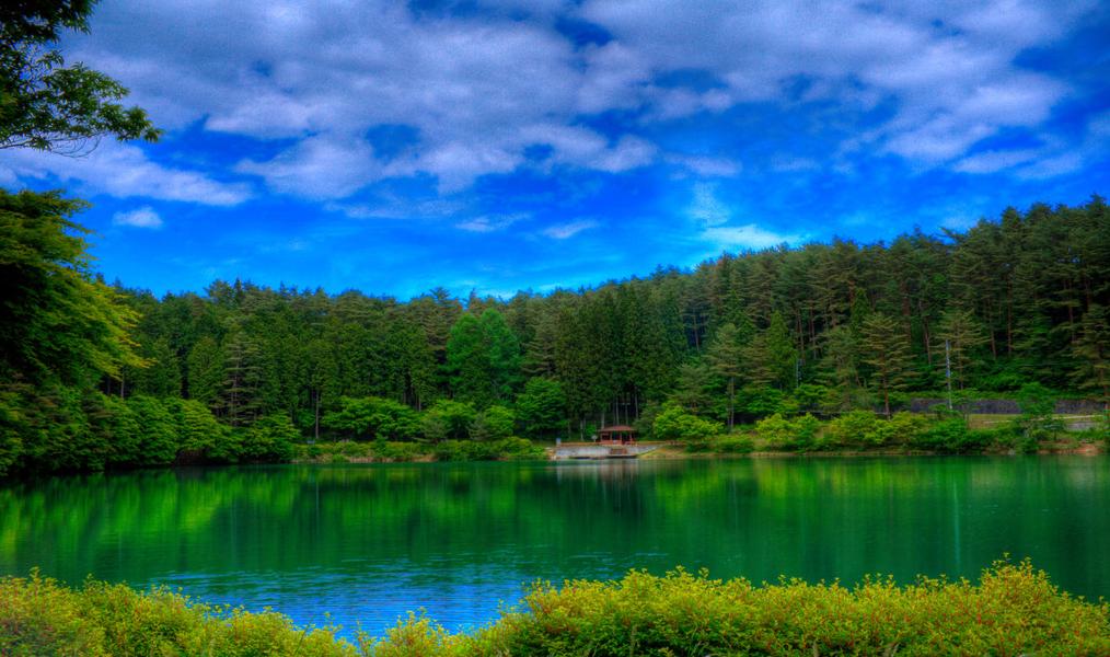 6月至8月的气候变化,气候变化影响年轮