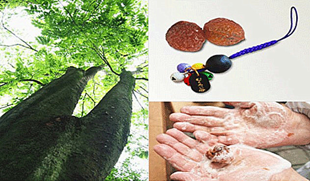 去日本镰仓旅游有好的攻略,日本镰仓的一日游线路