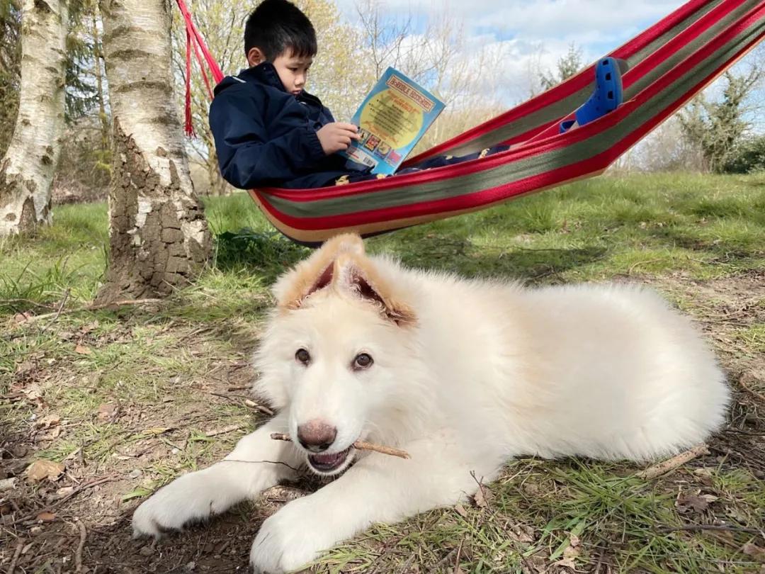 英国疫情防护物资,英国抗疫日记囤货记