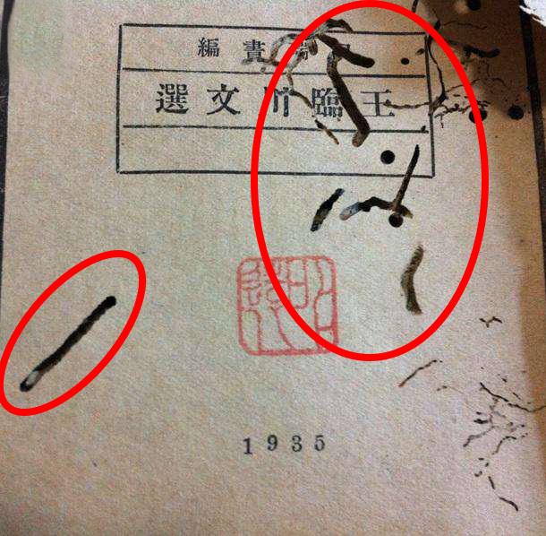 张旭与怀素哪个才是草圣,张旭怀素张狂