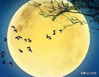 奇妙传统节日中秋节,中秋节中国传统节日插画