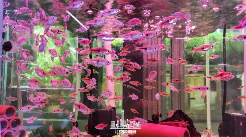 不去后悔去了更加后悔的景点,不去后悔去的景点