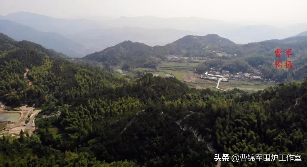 大美黄梅背面,大美黄梅作品