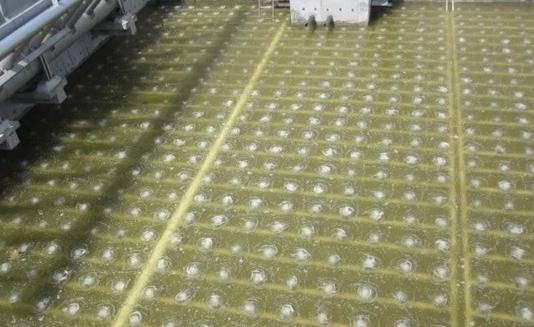 浦华水务公司采购怎么样,浦华水务有限公司