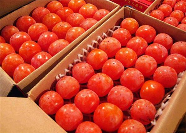 火晶柿子为什么火爆,火晶柿子假的