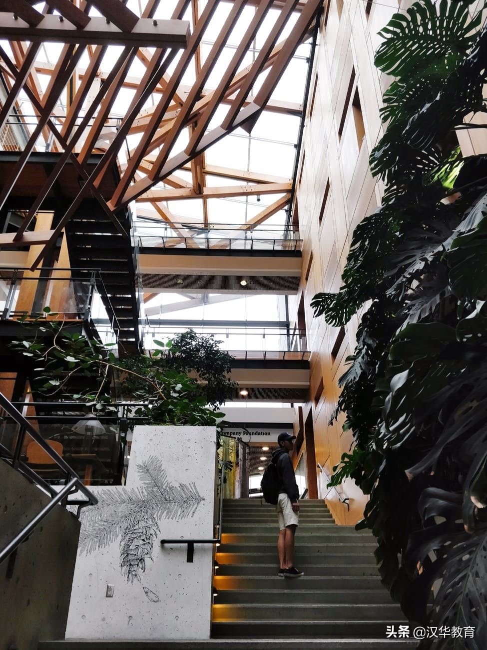 加拿大就业十大最好专业,加拿大专业就业排名前十的大学