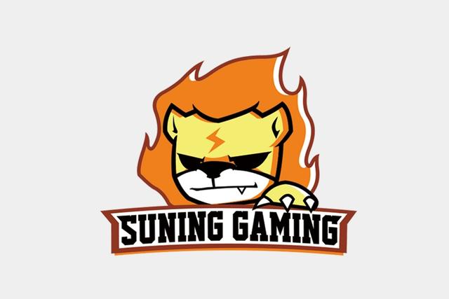 阿里入主苏宁后，董事长换帅，“太子”张康阳为啥落选？