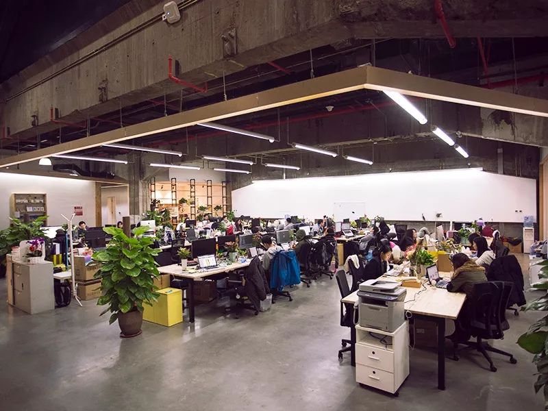 马蜂窝退单赔付,马蜂窝赔偿案例