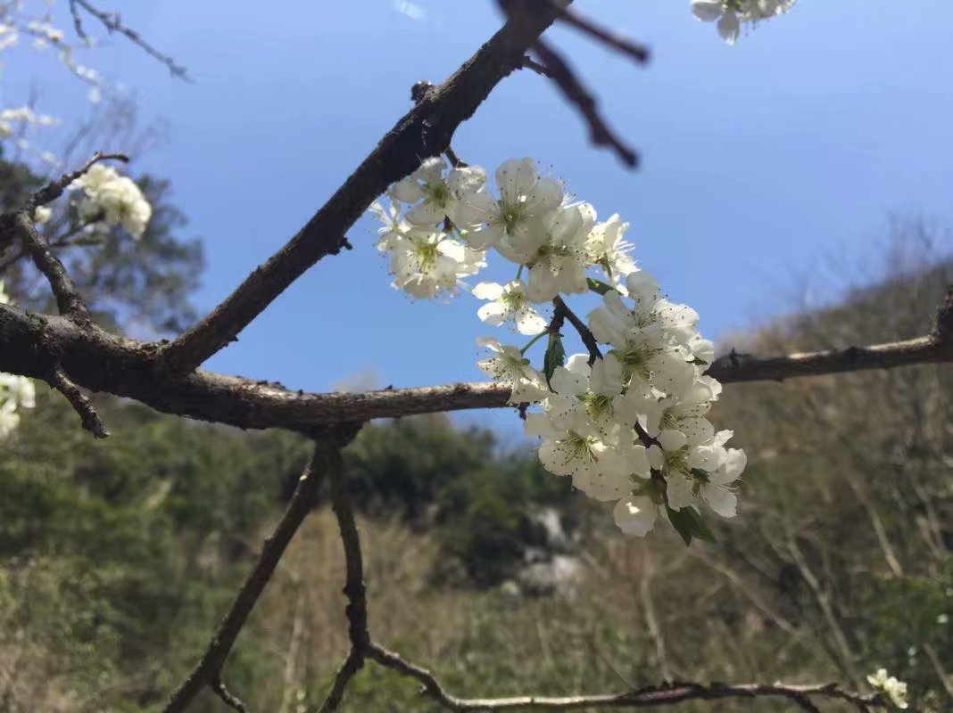 浙江的“青藏高原”在哪里？一起去浙西大峡谷探秘吧！