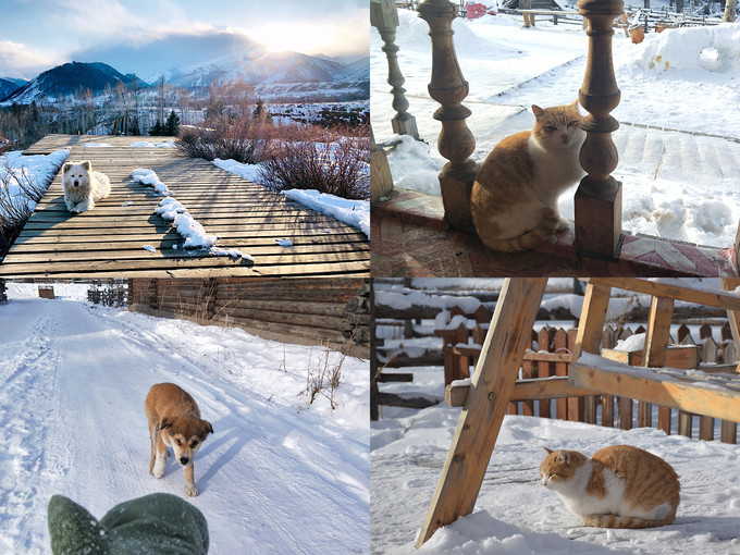 2020年冬游喀纳斯攻略——去听雪落的声音