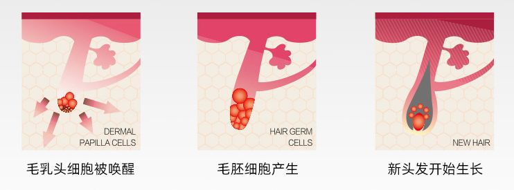 资生堂护理道头皮生机系列洗发水,资生堂头发柔顺精华液