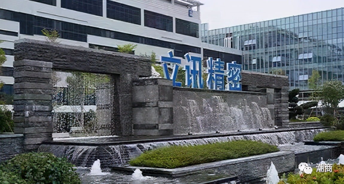 白手起家女企业家的创业故事,女人企业家回村创业2100万后续