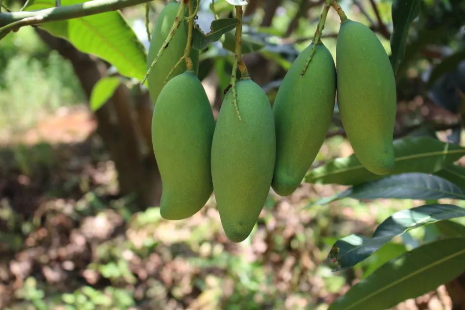 广西地方的螺蛳粉最好吃,广西出名的美食只有螺蛳粉吗