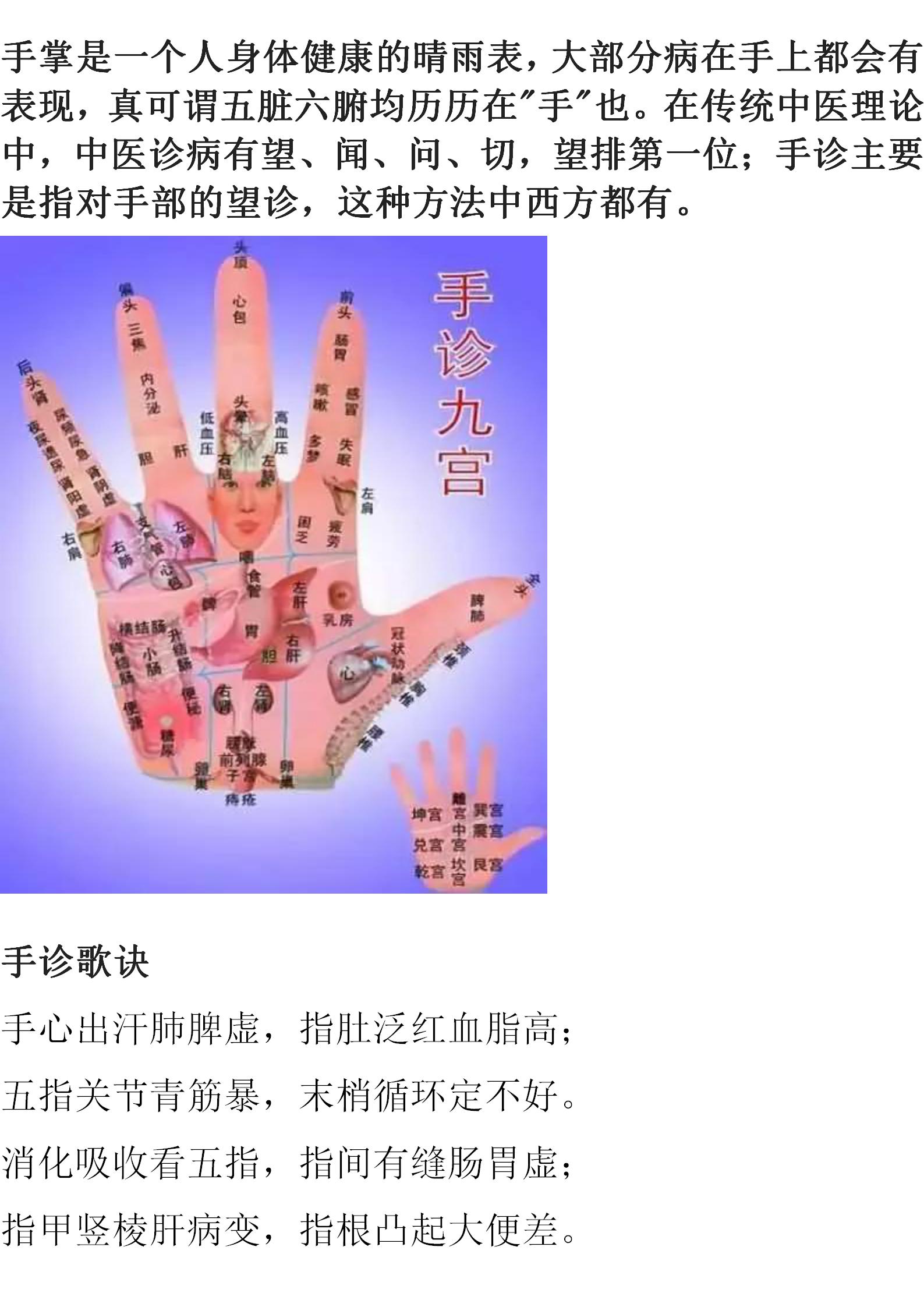 蔡洪光手诊九宫定位图,九宫手诊脏腑图怎么样好记