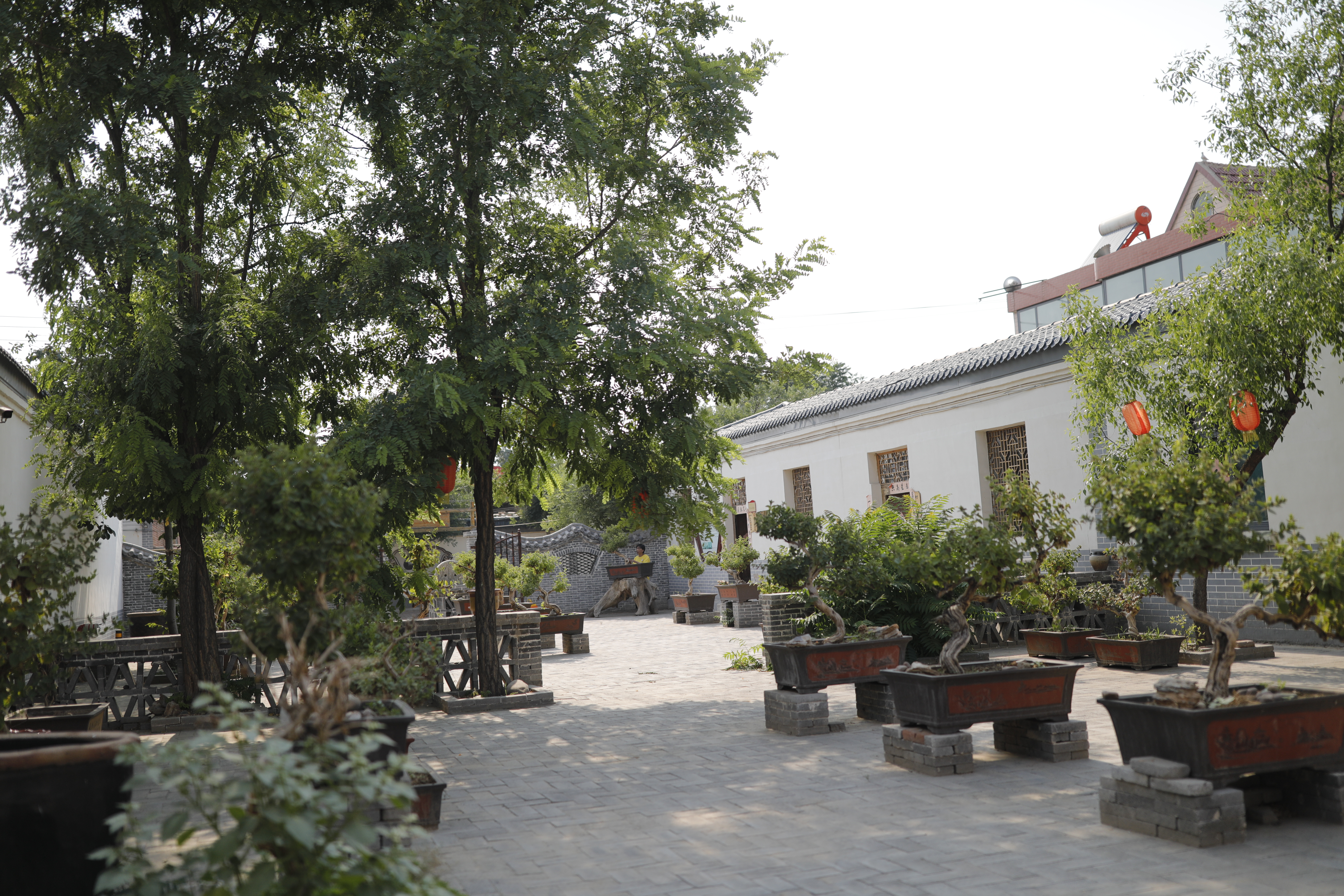 绾㈡潖涔嬩埂,涓浗绾㈡潖涔嬩埂