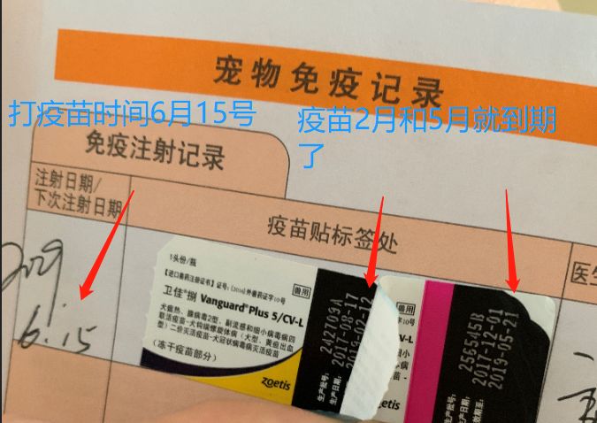 又有宠物医院出售过期疫苗,可怕的是很多药的保质期我们都看不到