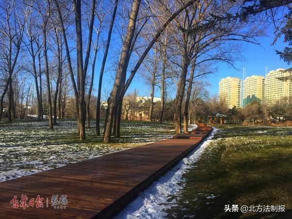 延吉市公园最新消息,今天的延吉人民公园