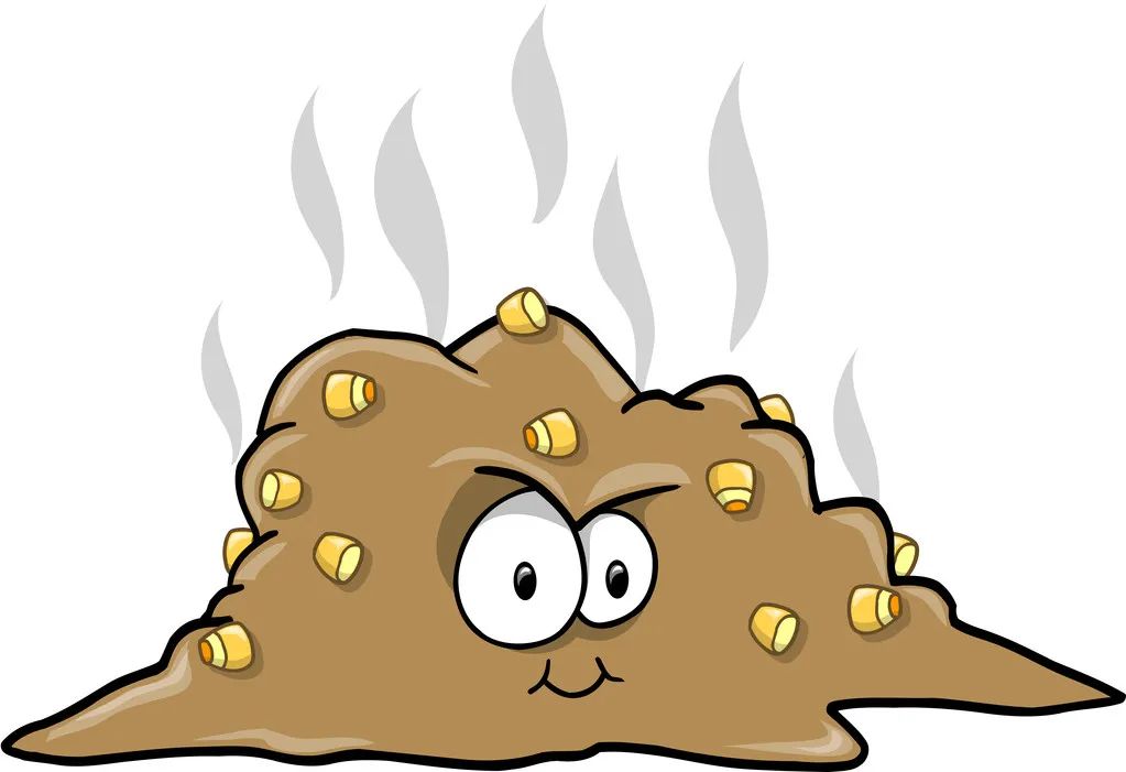 便便的形状看健康,通过便便了解肠道健康