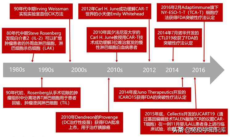免疫细胞疗法疑问,免疫细胞治疗的真实感受