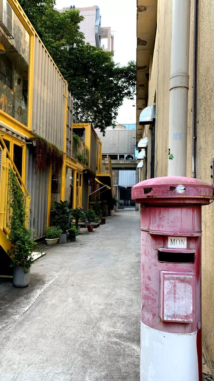 去蛇口玩吗,深圳蛇口值得去吗