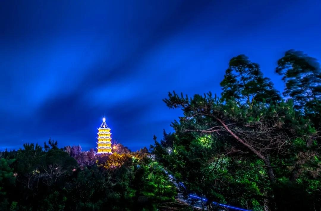 惠安震撼夜景,惠安县美景