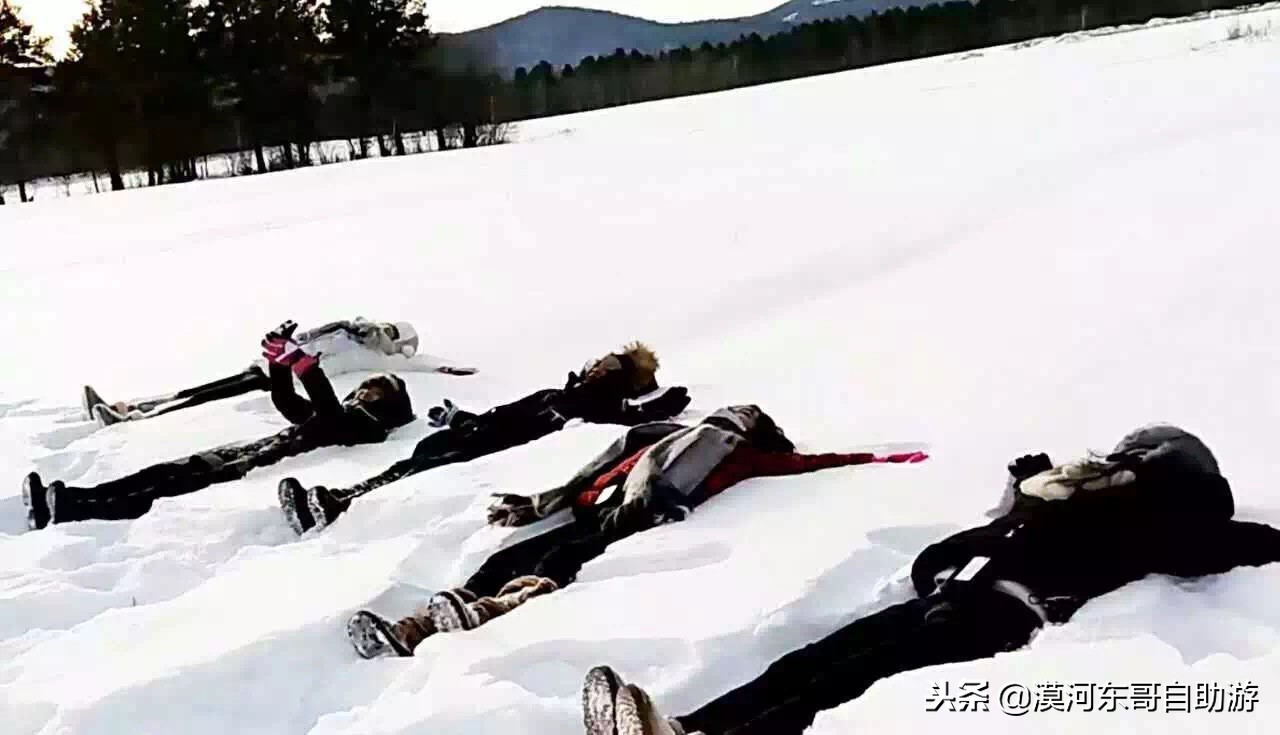 漠河极寒之旅,漠河遇到熊