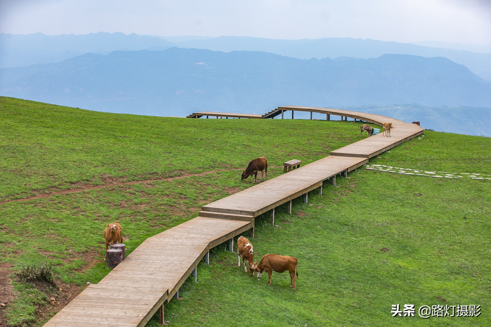 夏天凉快又好玩的旅游景点,避暑胜地夏天特别凉爽