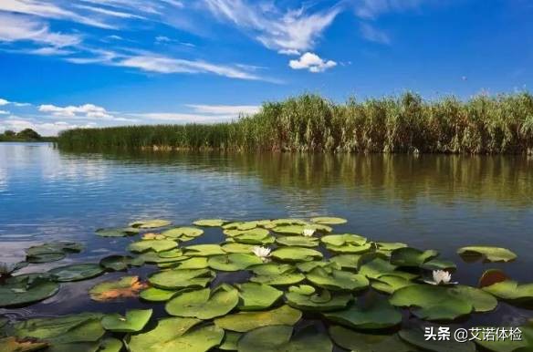 安徽旅行必去的10大景点,安徽旅行攻略必去十大景点