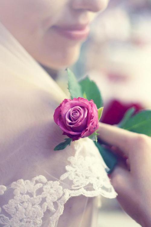 非主流葬爱家族背景图,非主流葬爱家族图片搞笑