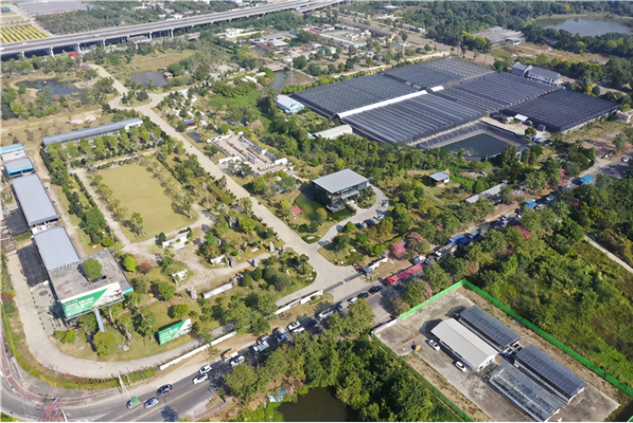 花木城盆景图片,创意盆景花木之乡