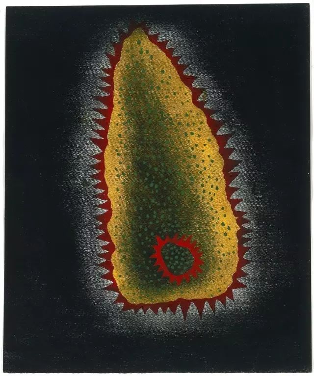 住了50年精神病院，一幅画却能卖2亿的日本国宝级画家：草间弥生