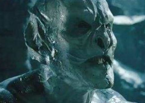 人应不应该勇敢追求爱情,人应不应该追求平凡