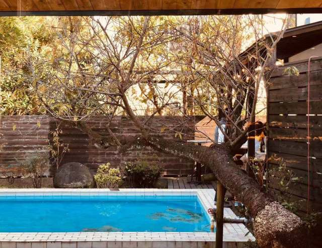 东京到镰仓和箱根攻略,东京箱根富士山镰仓