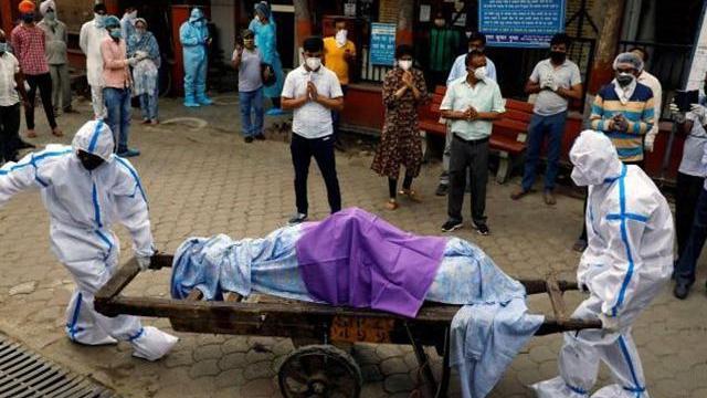 印度疫情混乱，檀香精油一涨又涨，市场假货泛滥，真假难辨