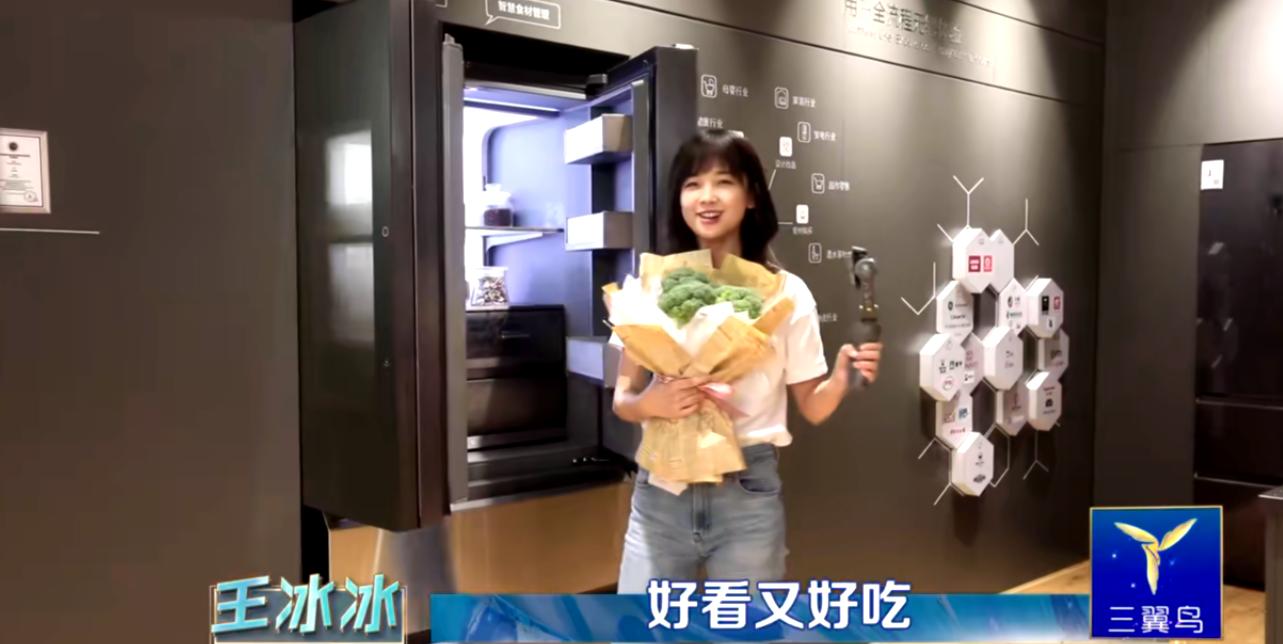 央视冰冰颜值分析,冰冰在央视什么地位