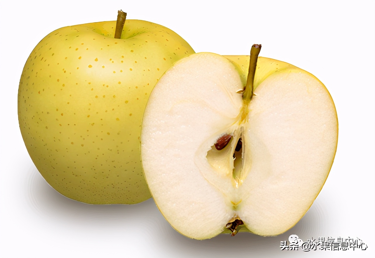 日本苹果种植现状,为什么日本苹果质量比中国的好