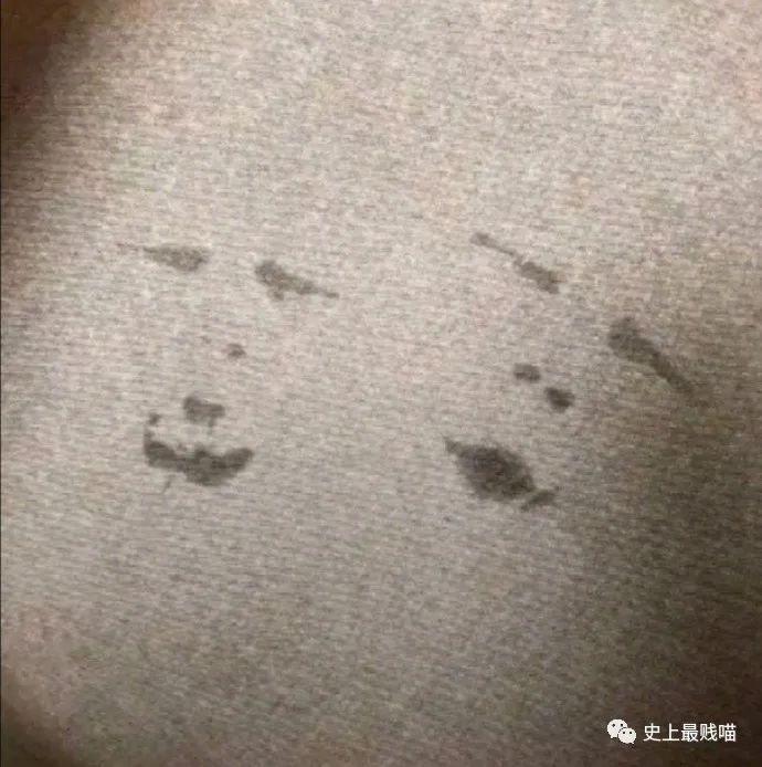 第一次看到把抖m说的这么清新脱俗的...实在太形象了哈哈哈哈哈！