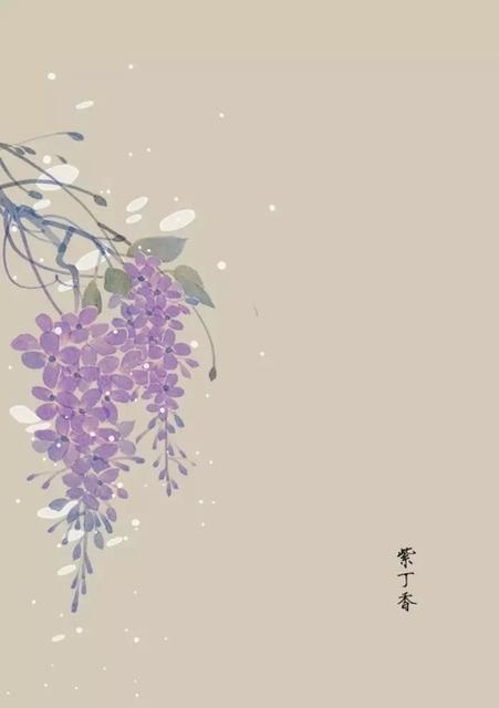 随笔浮云,浮云散文欣赏