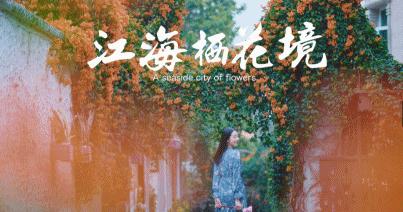 五一厦门旅游打卡,厦门冬日暖阳旅游