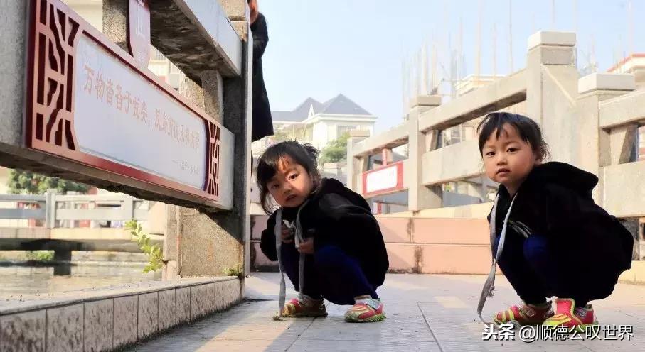 打卡顺德容桂海尾社区，你的家乡美成这样……