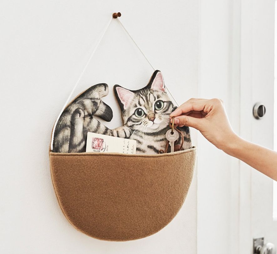 日本人又来骗猫奴们的钱啦！但我心甘情愿掏钱了！