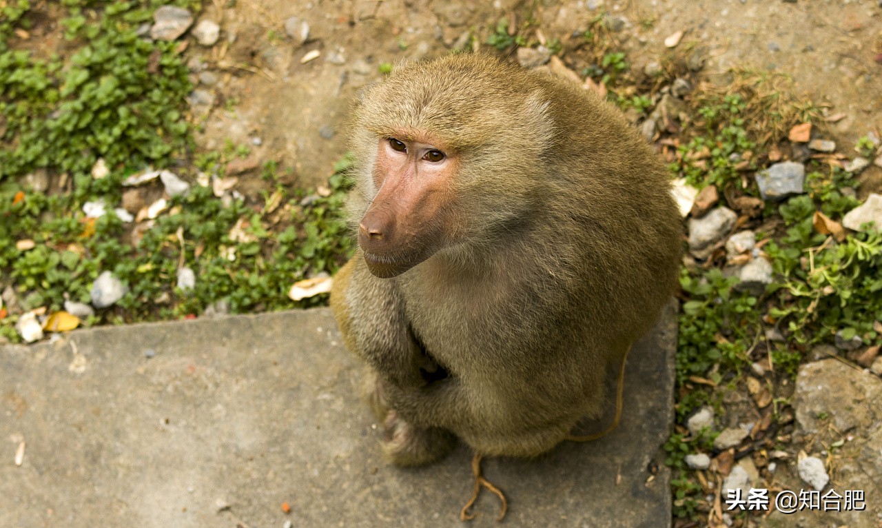 合肥国庆假期去哪玩三日游,国庆安徽三日游