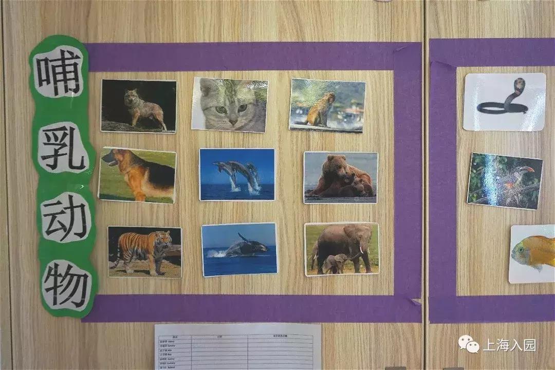 美式风格幼儿园,美式幼儿园课程