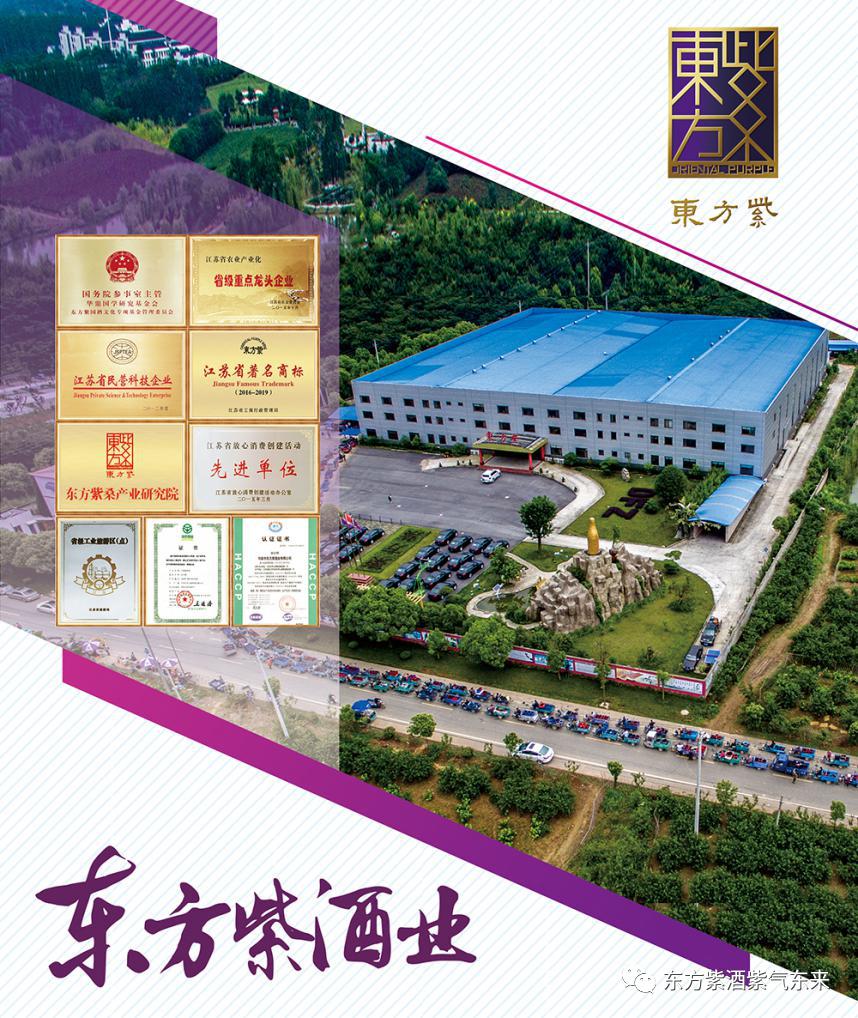 东方紫酒详细介绍,东方紫酒新国粹