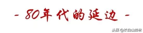 延边改革开放40周年变迁,延吉改革开放变化