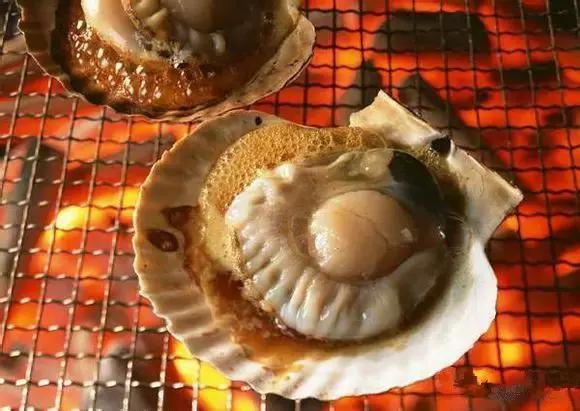 渔民海鲜大全,渔民整理的海鲜河鲜大全