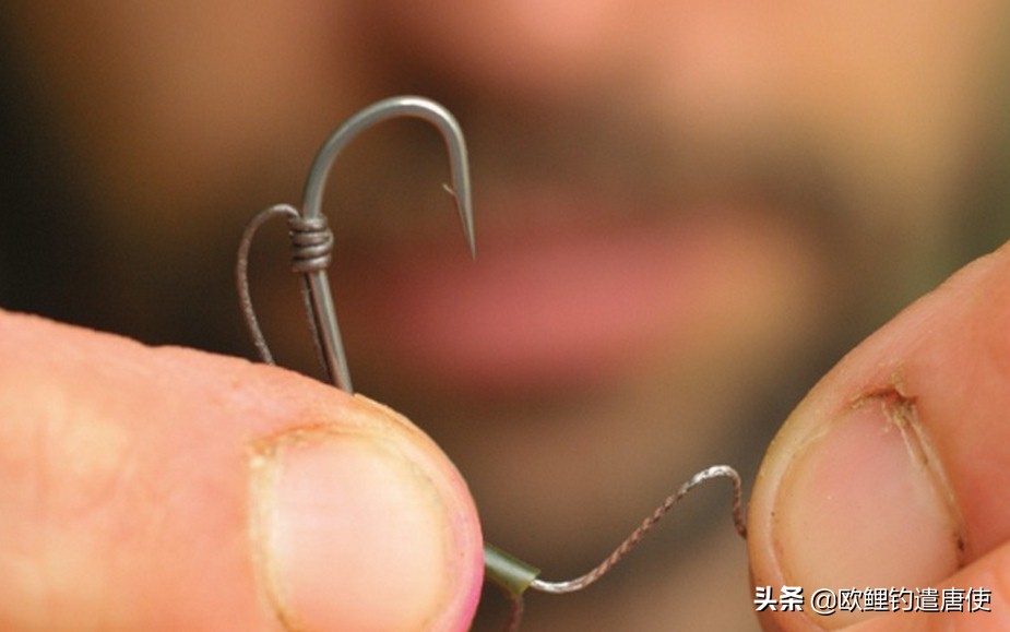 欧鲤钓钓组篇,欧鲤钓组和飞德钓组