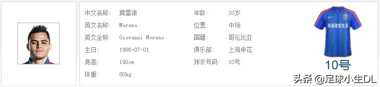 中超队魂精品解读,申花队魂最新信息